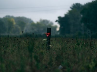 Піротехніки протягом доби знешкодили понад 2000 вибухонебезпечних предметів  