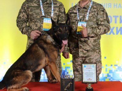 Кінологів та службових собак від установ сектору оборони нагородили почесними відзнаками  