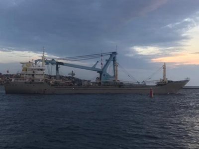 З українських портів вийшли ще вісім суден зі збіжжям  