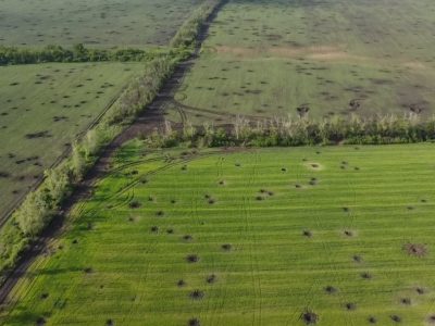 Україна ініціюватиме створення міжнародних методик оцінки збитків довкіллю від військових дій