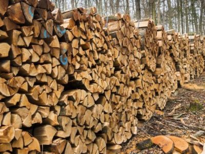 Уряд розподілив кошти серед ОВА на закупівлю та доставку дров для населення прифронтових територій  