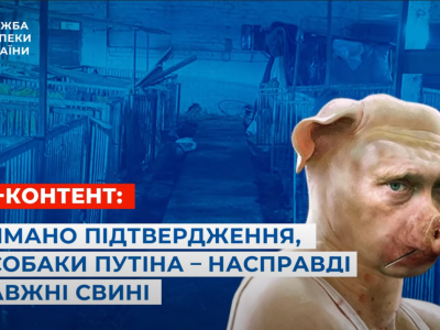 Тут так по-домашньому: окупанти облаштували собі командний пункт у свинарнику