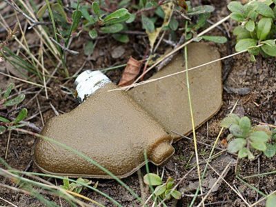 Спецслужби рф імовірно готують теракти проти власного населення  