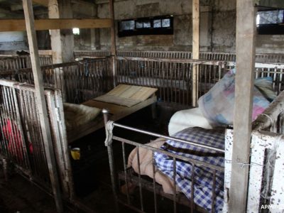 На Херсонщині війська рф жили у свинарнику  