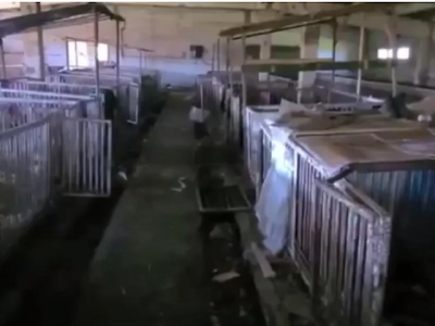 Для воїнів «другої армії у світі» влаштували казарми… у свинарнику  