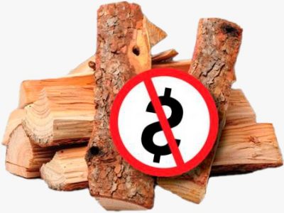 Як отримати безоплатну паливну деревину від держави  
