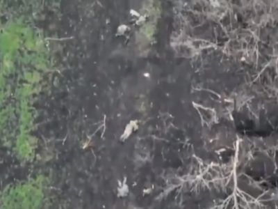 Генштаб показав наслідки однієї з ворожих атак  