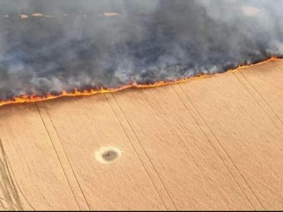 росія вже завдала шкоди довкіллю України більш як на 1,35 трильйона гривень  