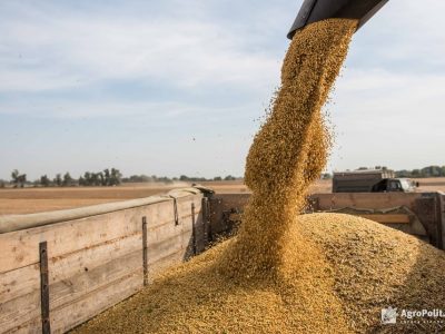 Володимир Зеленський виступив з відеозверненням щодо реалізації ініціативи ЄС «Шляхи солідарності»
