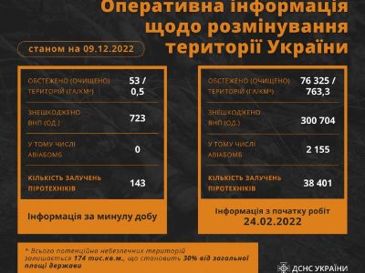 Понад 300 000 вибухонебезпечних предметів знешкодили піротехніки за 9 місяців  