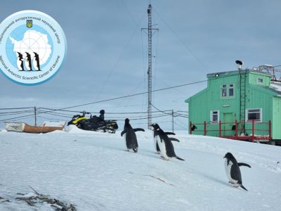 Стартував благодійний антарктичний аукціон для допомоги «бойовим пінгвінам»  