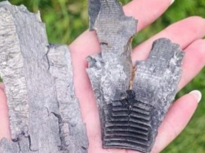 Понад 30 населених пунктів на правобережжі Дніпра постраждали від обстрілів рашистів  