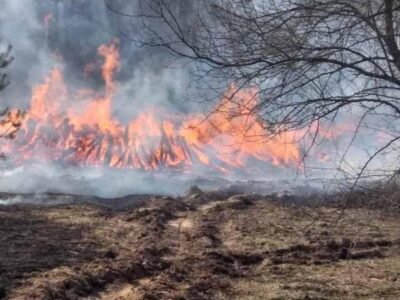 росія завдала збитків довкіллю України на понад ₴1,5 трильйона  