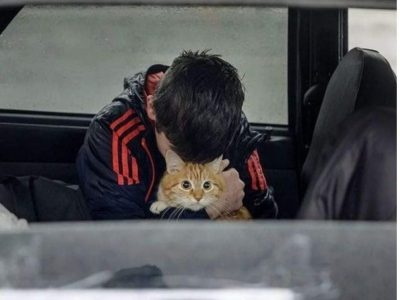 За тиждень 10 дітей постраждали від агресії рф  