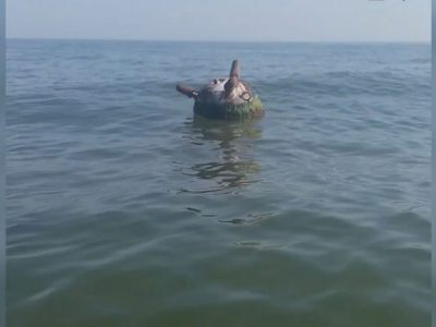 На Одещині успішно ліквідували чергову дрейфуючу міну  