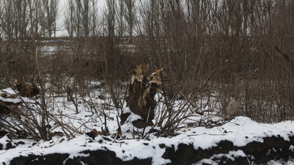 «Немає прихистку в посадках»: на Краматорському напрямку росіян легше знищувати завдяки погоді  