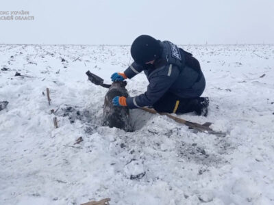 Піротехніки за добу знешкодили дві авіабомби та 185 вибухонебезпечних предметів