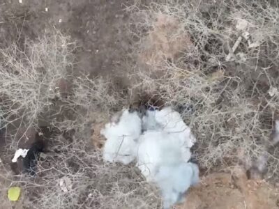 Запорізькі тероборонівці знищили склад боєприпасів російських окупантів