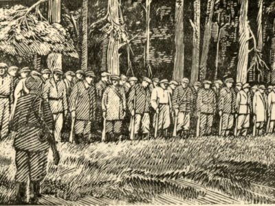 Добірні частини СС не зламали завзяття повстанців:  про бій УПА з нацистами під Людвиполем на Волині  