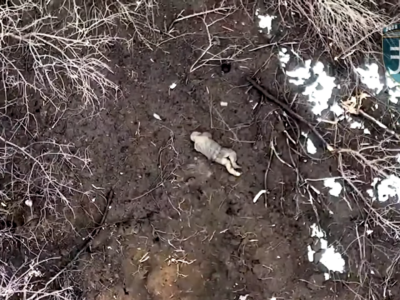 В окоп до окупанта прилетів подарунок з дрона морпіхів  