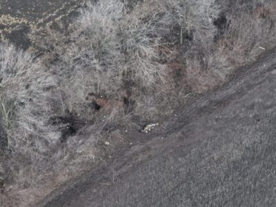 Прикордонники мінометами зірвали атаку загарбників  