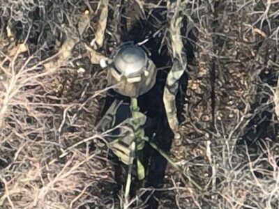 На Лимансько-Куп’янському напрямку ЗСУ знищили новітню російську станцію РЕБ «Стриж»  