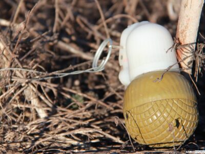Японія готова увійти до Наглядової Ради Центру гуманітарного розмінування України  