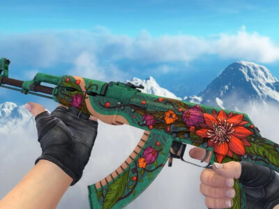 Counter-Strike проти обмеження свободи слова «за поребриком»  