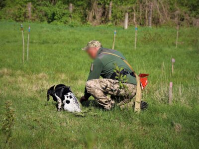 «Чотирилапі сапери» пройшли навчання з мінно-розшукової роботи  