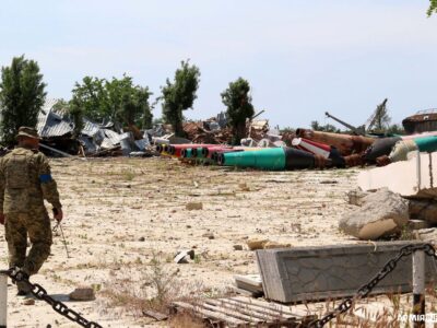 У гирлі Дніпра вже плавають загиблі тварини та багато бруду  