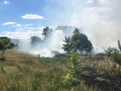 Зафіксовано 85 приходів: росіяни знову обстріляли прикордоння Сумщини й Чернігівщини  