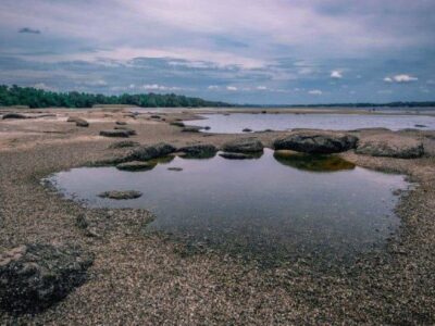 Осушення Каховської ГЕС спричинить міграцію важких металів з пилом — Роман Паламарчук  