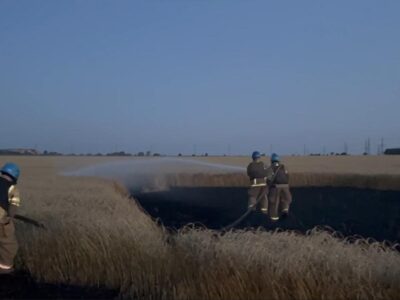 На Донеччині рашисти спалили поле пшениці  