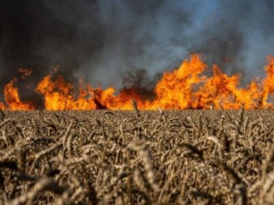 20 липня відбудеться брифінг на тему: «Збитки, завдані довкіллю від ракетних та бомбових ударів росії»  