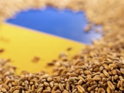 Україна працює над продовженням дії «зернової угоди». Інакше у деяких країнах настане голод — Секретар РНБО  