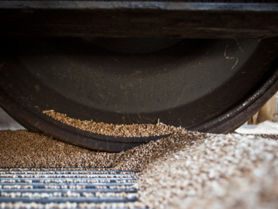 З тимчасово окупованих територій росіяни вже викрали майже 4 мільйони тонн зерна  