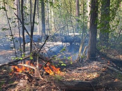 На прикордонних територіях Сумщини та Чернігівщини за добу зафіксовано 34 вибухи  
