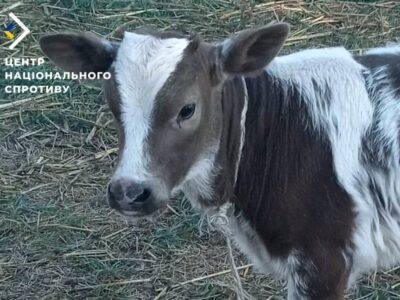 російські окупанти грабують українців через недостатнє забезпечення продовольством  