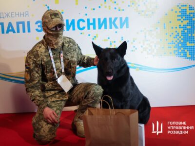 Пес-розвідник «Шторм» нагороджений відзнакою Кінологічної спілки України