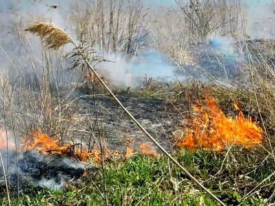 На Чернігівщині росіяни використовують безпілотники із запалювальною сумішшю  