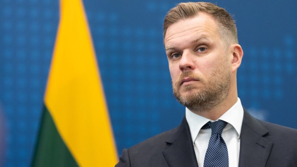 Литва буде частиною коаліцій, які допомагають Україні перемогти у цій війні — глава МЗС країни  