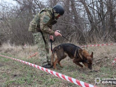 До розмінування Харківщини залучили поліційних собак  