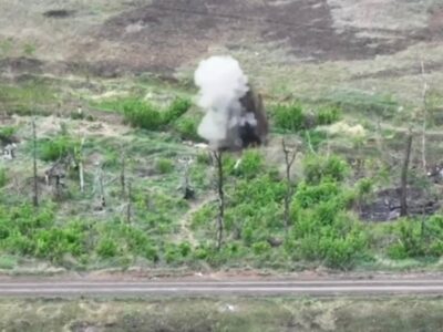 У дикій природі російські окупанти-шкідники закопуються в землю  