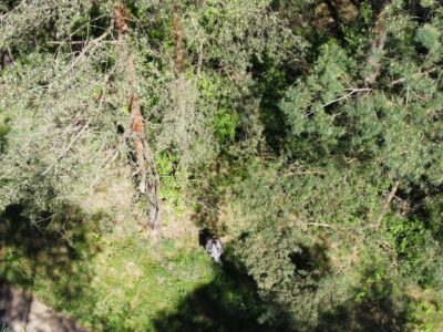 На шляху до Польщі затримали «втікача від мобілізації»  