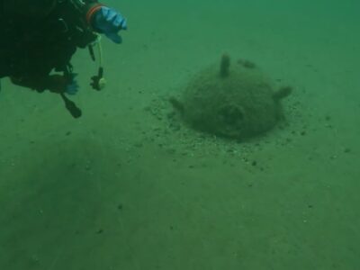 Військові моряки знищили морську міну часів Другої Світової війни