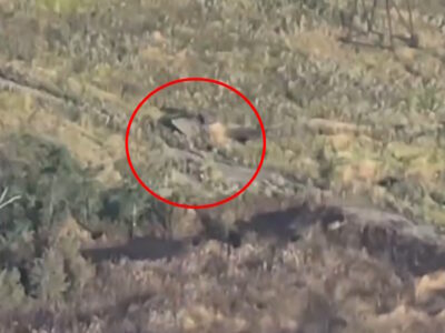 «Степові хижаки» показали, як нищать техніку окупантів  