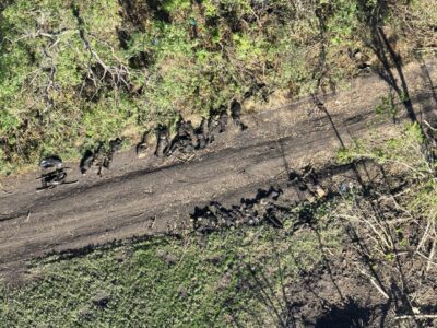 На Покровському напрямку вздовж доріг лежать мертві окупанти  