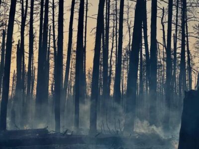 На Покровському напрямку ворог атакує, а на Харківському — активно застосовує КАБи