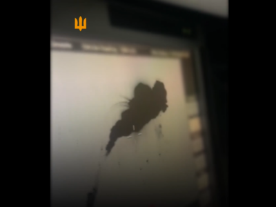 Сили оборони показали, як збивають ворожий БПЛА  