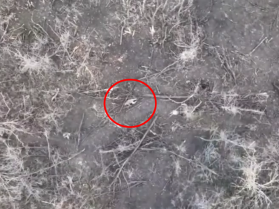 Скинуті з дрона гранати зупинили просування росіян посадкою  